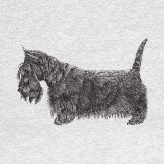 Scottish terrier by doggyshop